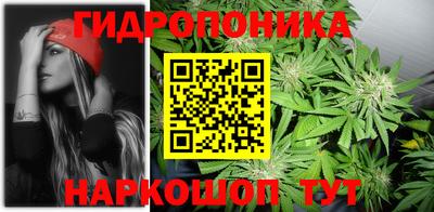 гашик Абакан
