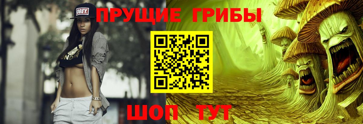 Псилоцибиновые грибы Cubensis Новоуральск